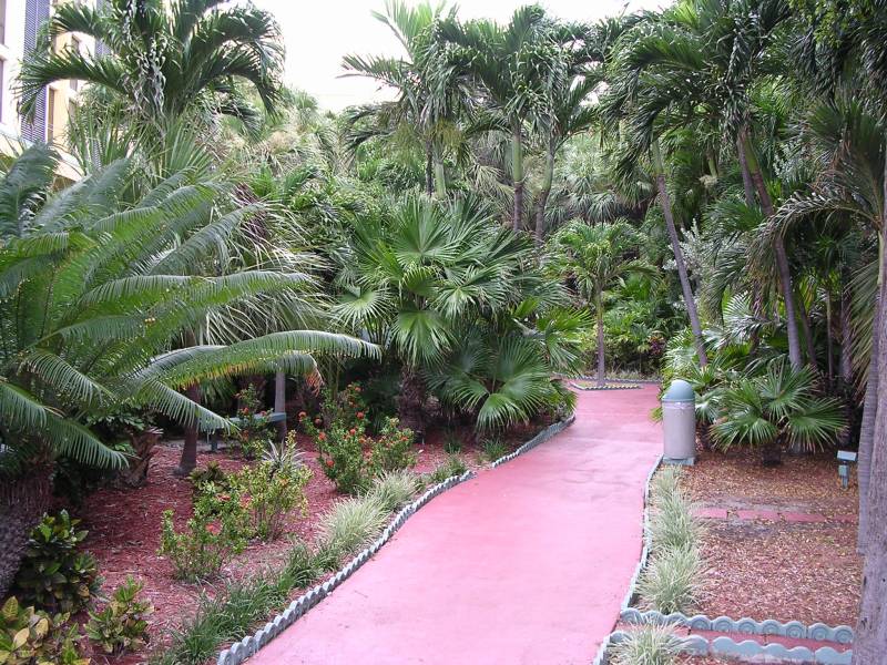 DSCN1330.jpg