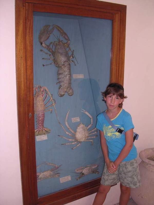 DSCN3415.JPG