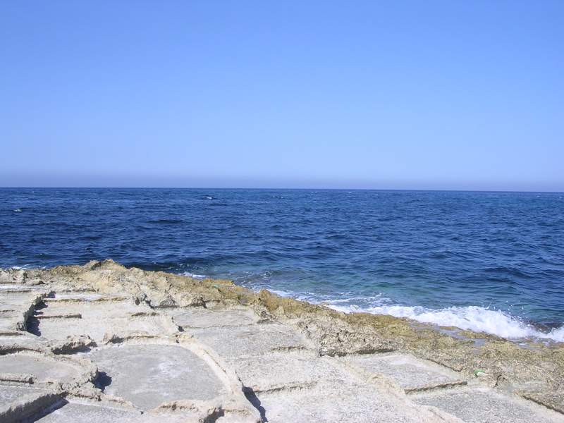 DSCN3446.JPG