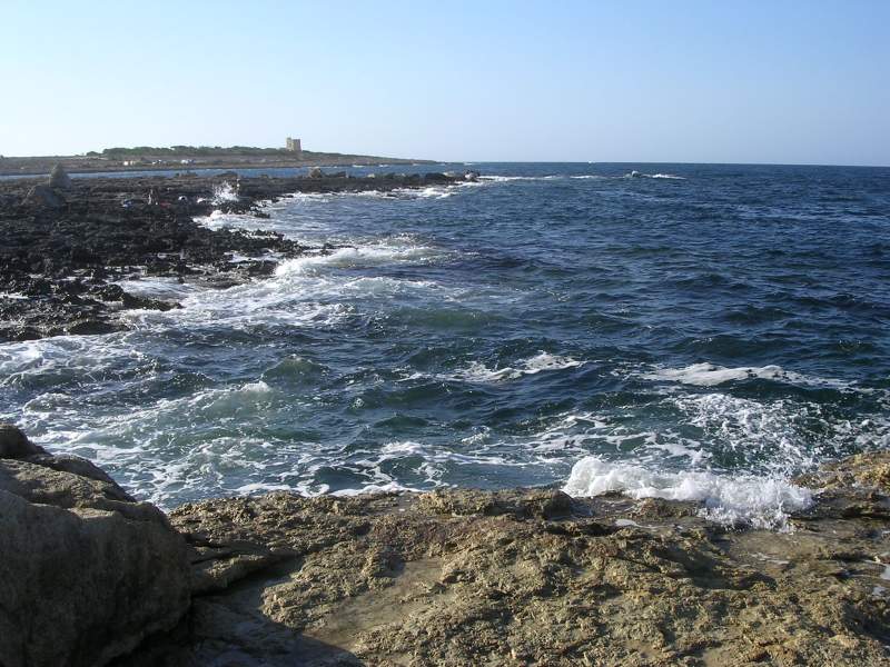 DSCN3533.JPG