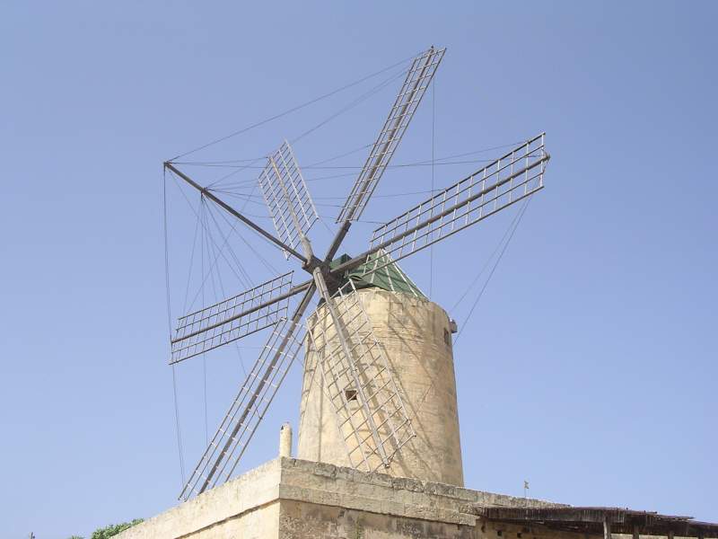 DSCN3781.JPG