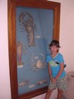 DSCN3415.JPG