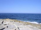 DSCN3446.JPG