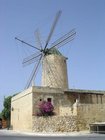 DSCN3783.JPG