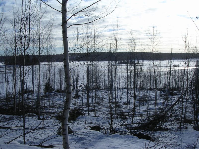 DSCN2551.JPG