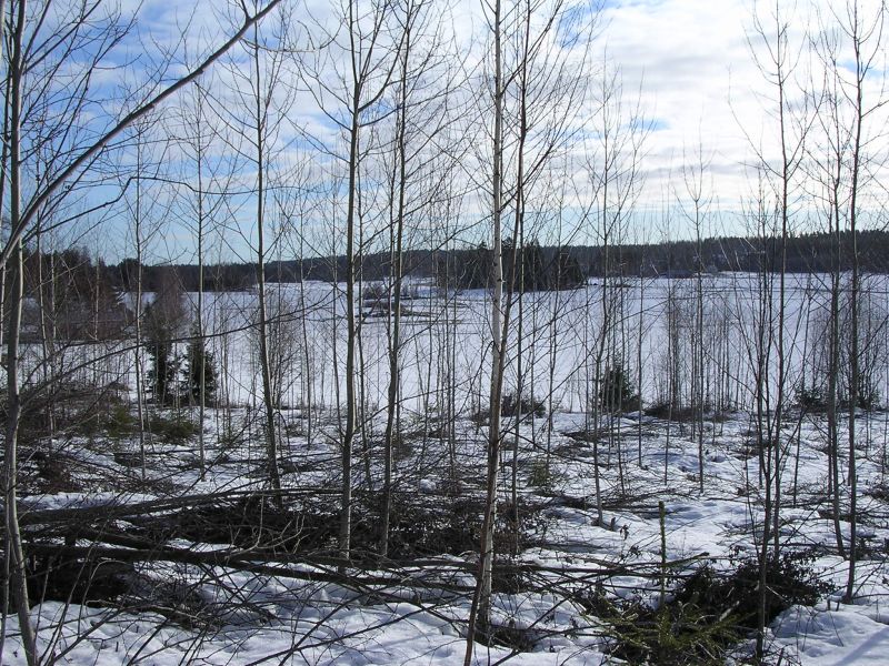 DSCN2553.JPG