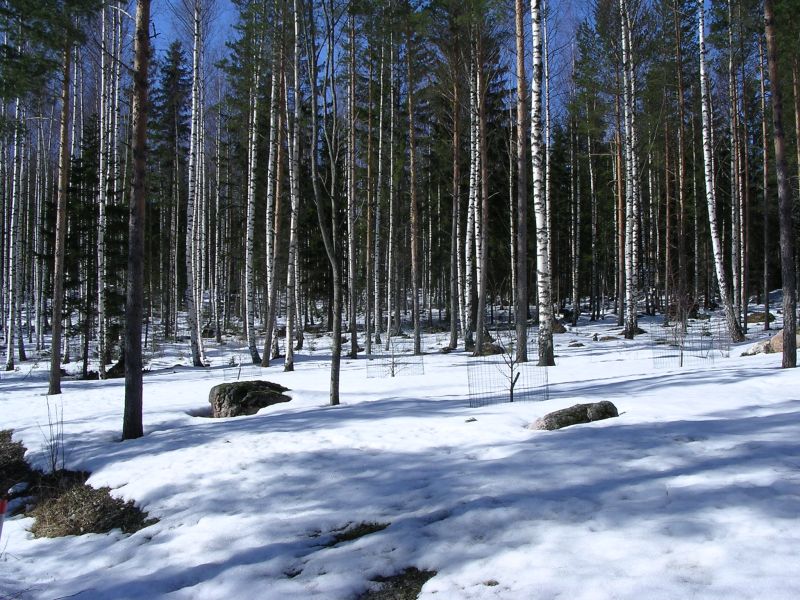 DSCN2558.JPG