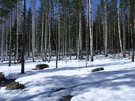 DSCN2558.JPG