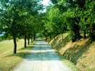 image002.JPG