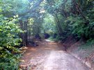 image010.JPG
