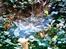 image018.JPG