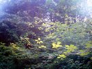 image020.JPG
