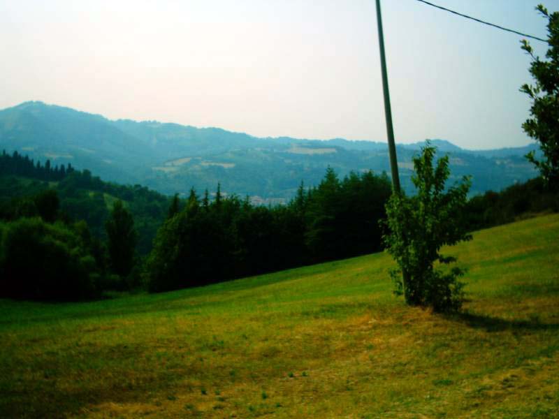 image001.JPG