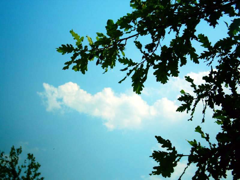image004.JPG