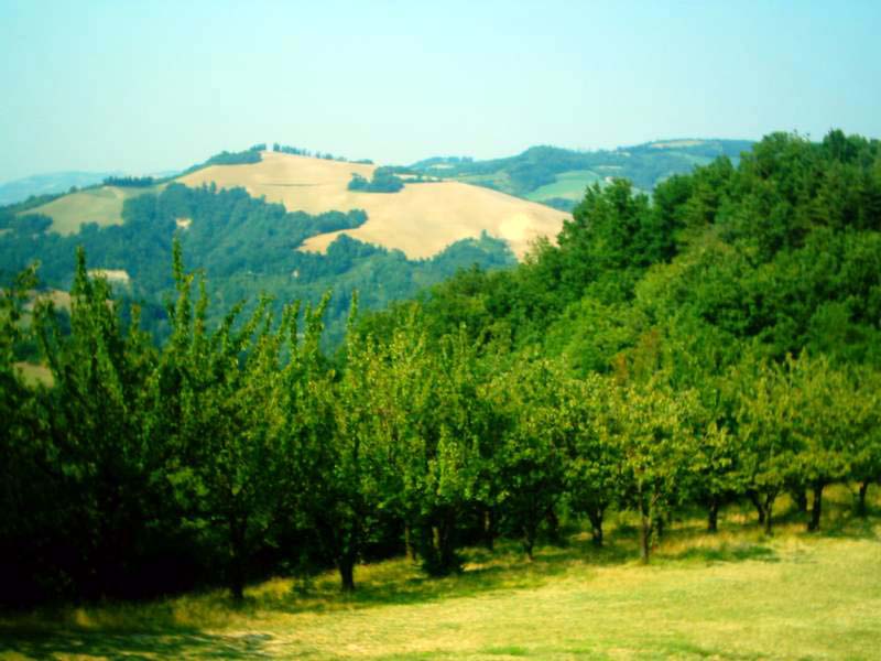 image006.JPG