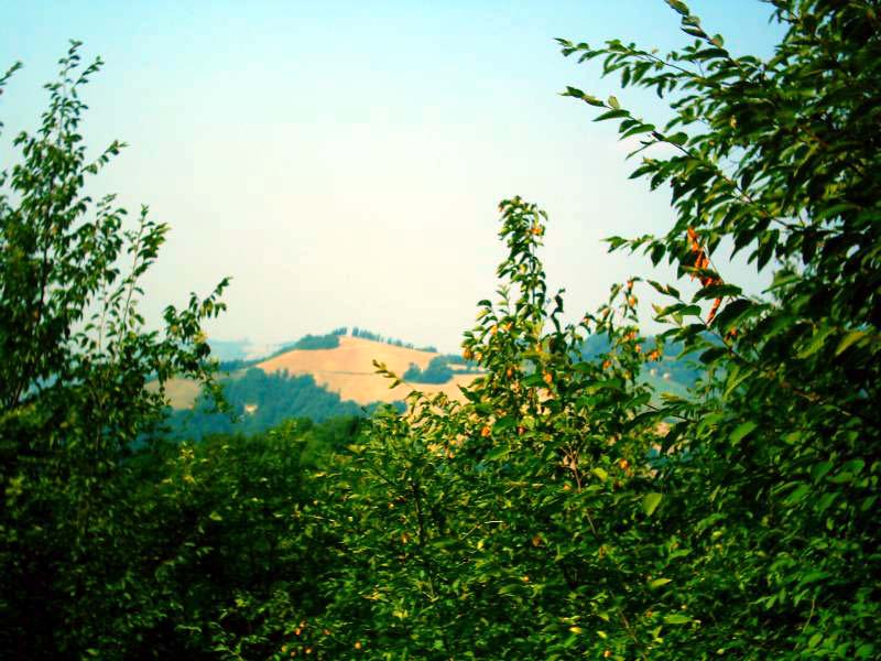image013.JPG