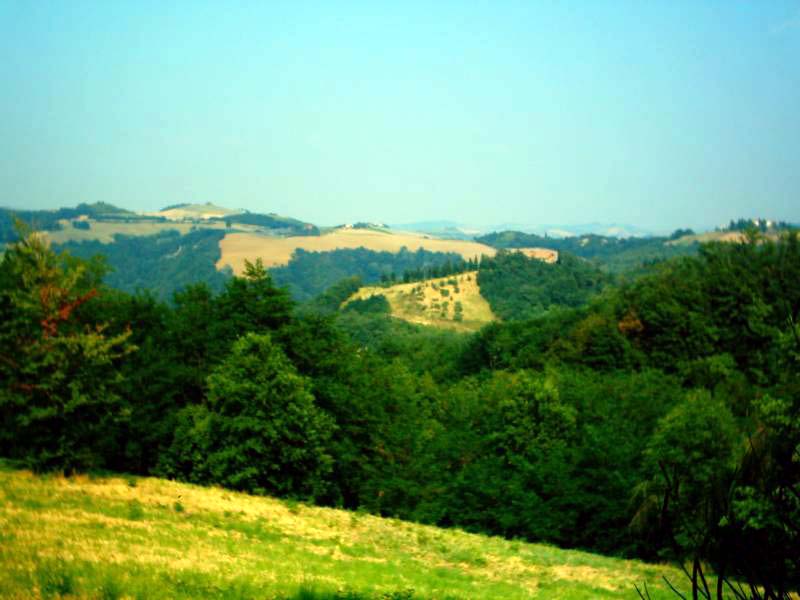 image014.JPG