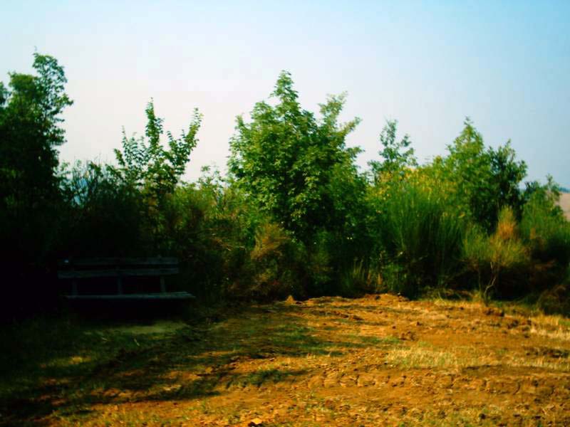 image015.JPG