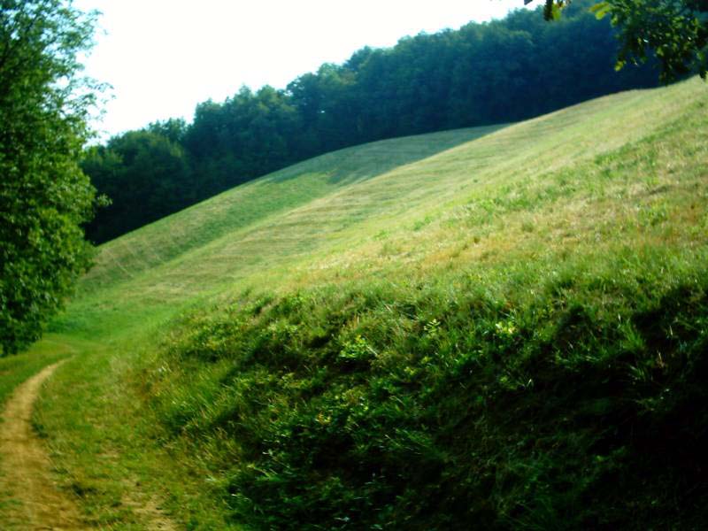 image016.JPG