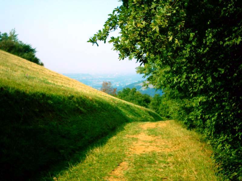 image017.JPG