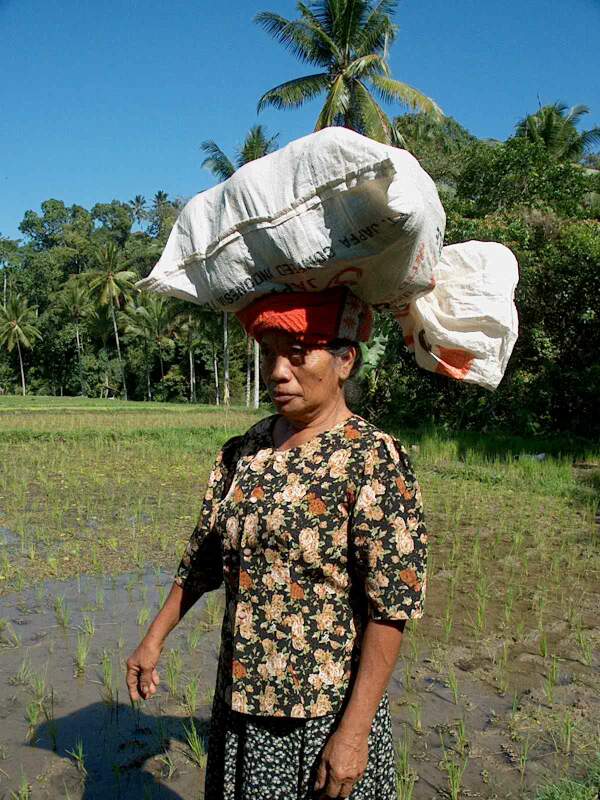 Im001612.jpg, 30/08/02, 95 kB