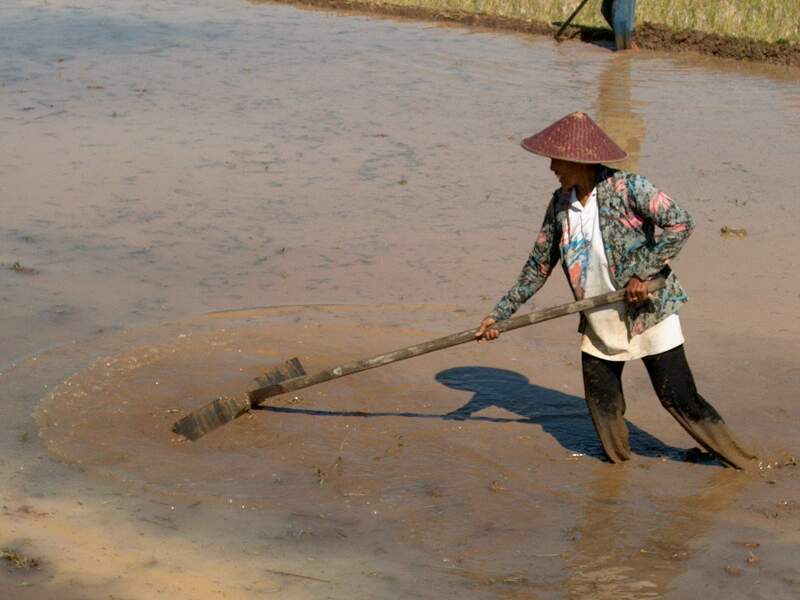 Im001624.jpg, 30/08/02, 42 kB