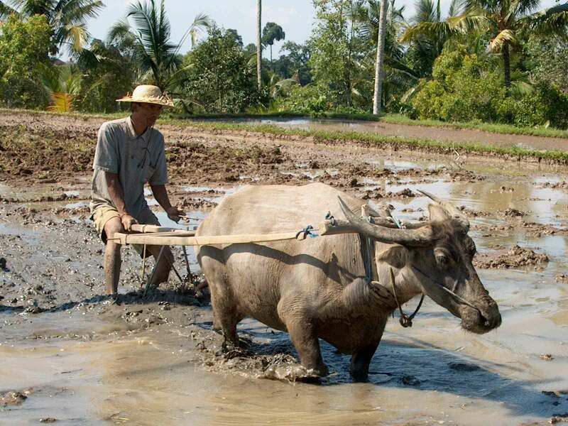 Im001629.jpg, 30/08/02, 100 kB