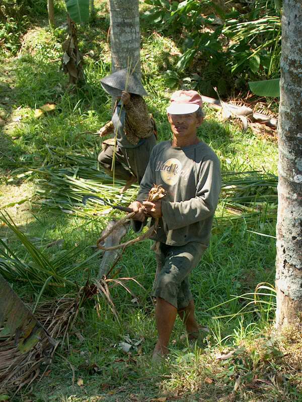 Im001671.jpg, 31/08/02, 117 kB