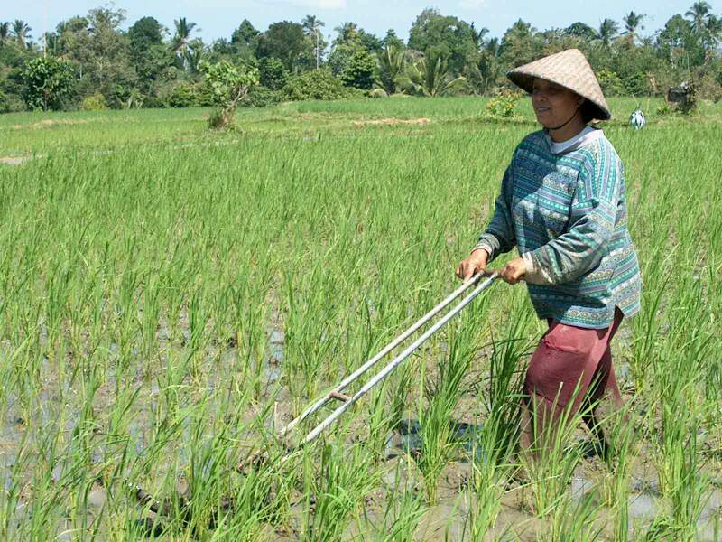 Im001676.jpg, 31/08/02, 112 kB