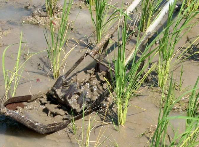 Im001677.jpg, 31/08/02, 64 kB