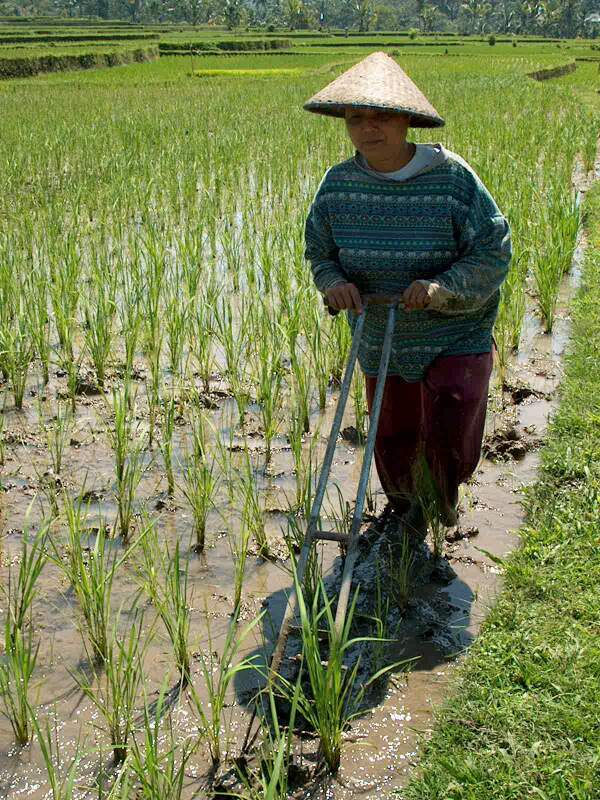 Im001680.jpg, 31/08/02, 121 kB