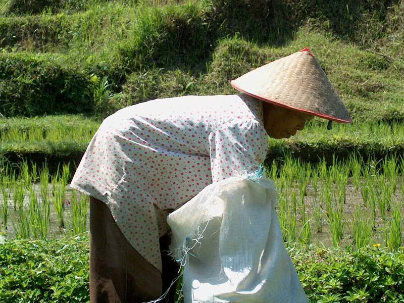 Im001692.jpg, 31/08/02, 99 kB