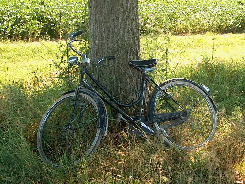 IM001025.JPG, 31/07/02, 144 kB