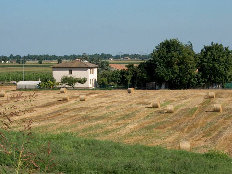 IM001028.JPG, 31/07/02, 69 kB