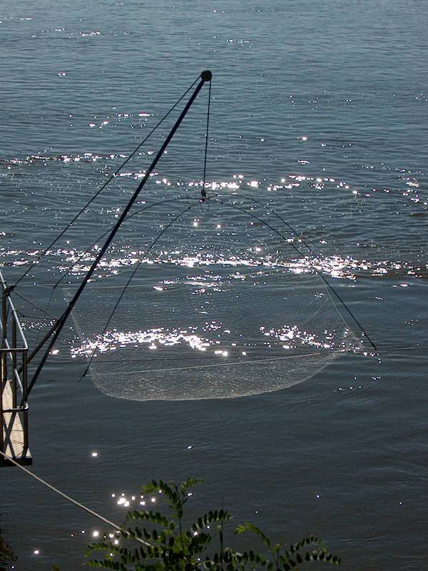 IM001029.JPG, 31/07/02, 86 kB