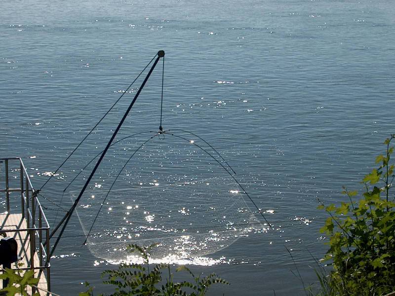 IM001037.JPG, 31/07/02, 87 kB