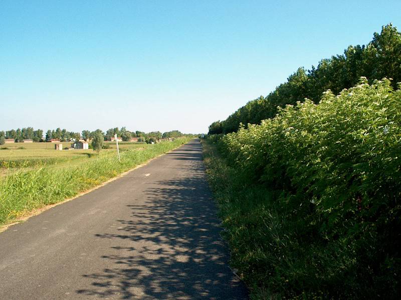 IM001045.JPG, 31/07/02, 72 kB