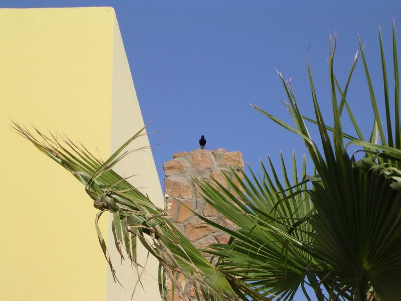 DSCN4464.JPG