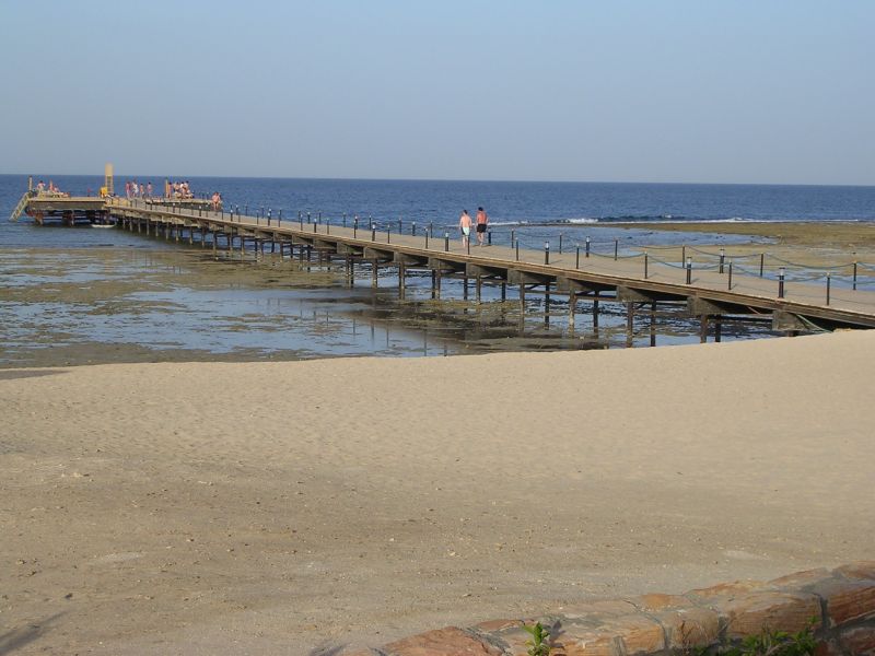 DSCN4484.JPG
