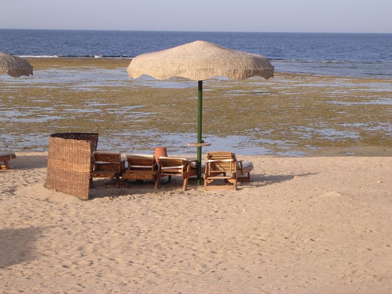 DSCN4485.JPG