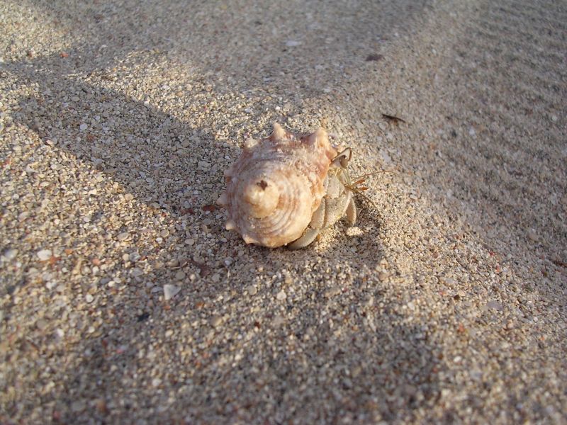 DSCN4883.JPG