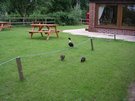 DSCN0541.JPG