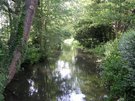 DSCN0572.JPG