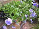 DSCN0575.JPG