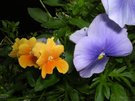 DSCN0576.JPG