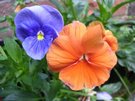 DSCN0577.JPG