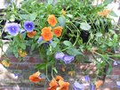 DSCN0578.JPG
