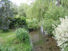 DSCN0590.JPG