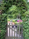 DSCN0593.JPG