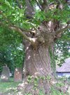 DSCN0599.JPG